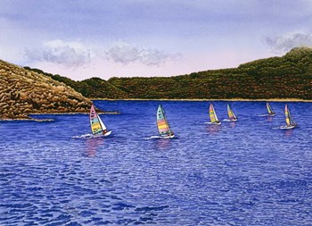Hobie Cats by Thelma Winter art print