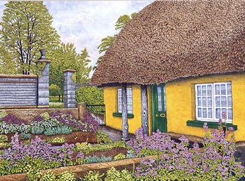 Yellow Cottage by Thelma Winter art print