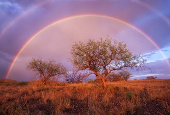 Arizona Rainbow by Thomas Haney art print