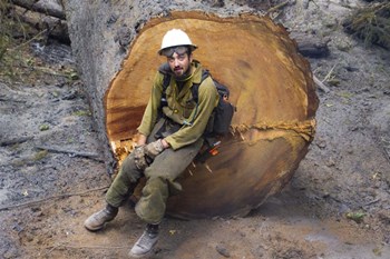 Halvey by Thomas Haney art print