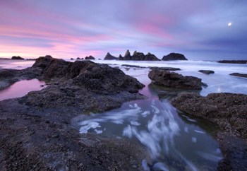Seal Rock Colors by Thomas Haney art print