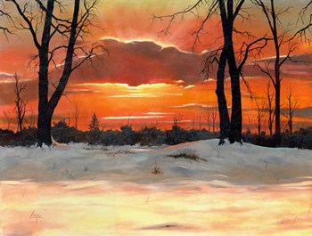 Winter Shadows by Thomas Linker art print