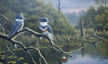 Fisherman&#39;s Luck, Belted Kingfishers by Wilhelm J. Goebel art print