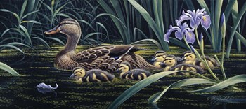 Mother&#39;s Day - Mallard by Wilhelm J. Goebel art print