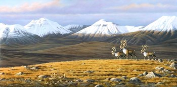 Time Passages Mountain Caribou by Wilhelm J. Goebel art print