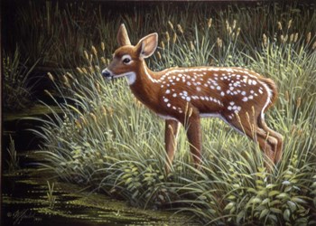 In The Tall Grass by Wilhelm J. Goebel art print