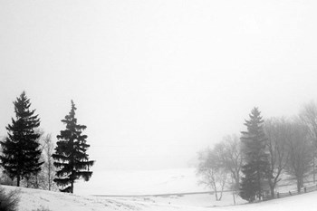 Contrast by Willow Way Studios, Inc. art print