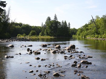 Chippewa Summer I by Willow Way Studios, Inc. art print