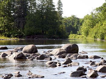 Chippewa Summer II by Willow Way Studios, Inc. art print