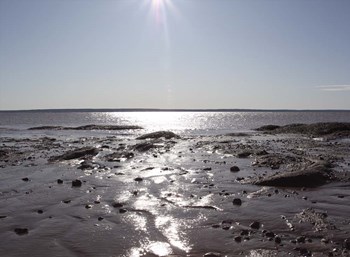 Atlantic Skies II by Willow Way Studios, Inc. art print