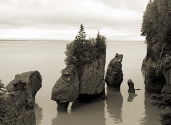 Tides In by Willow Way Studios, Inc. art print