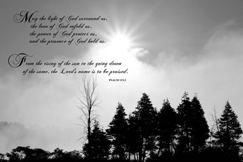 Regal Morning by Willow Way Studios, Inc. art print