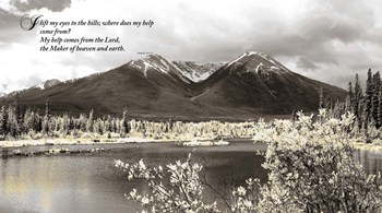 Serenity by Willow Way Studios, Inc. art print