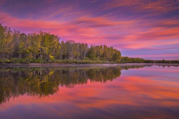 Autumn Splendor by Darren White Photography art print