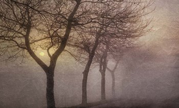 Early Morning by Cora Niele art print