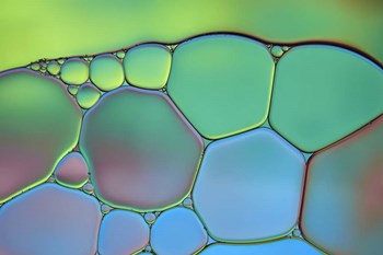 Lime Green and Blue Stained Glass by Cora Niele art print