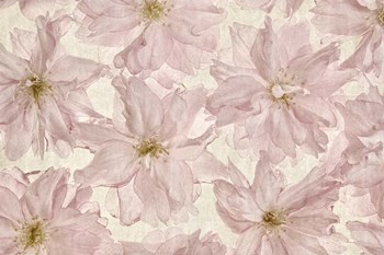 Vintage Blossom by Cora Niele art print