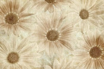 Vintage Daisies by Cora Niele art print