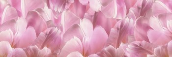 Pink Tulip Scape by Cora Niele art print