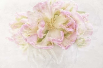Pink Parrot Tulips Bouquet by Cora Niele art print