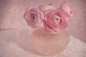Pink Ranunculus Bouquet by Cora Niele art print