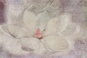 Magnolia by Cora Niele art print