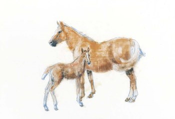 Horse and Colt by Emily Adams art print
