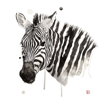 Zebra II by Philippe Debongnie art print