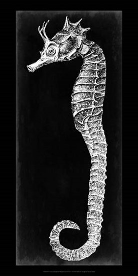 Seahorse Blueprint I by Vision Studio art print