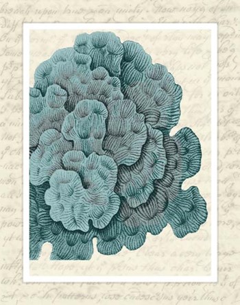 Blue Corals On VIntage Script e by Fab Funky art print