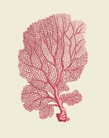 Corals Coral On Cream c by Fab Funky art print