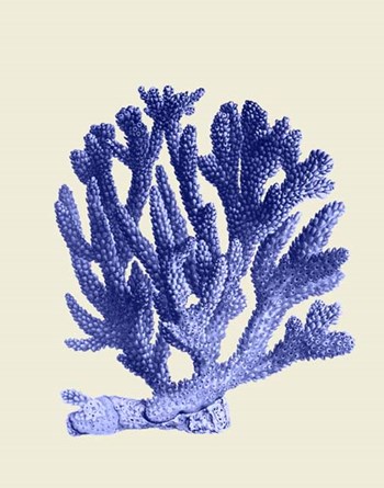 Blue Corals a by Fab Funky art print