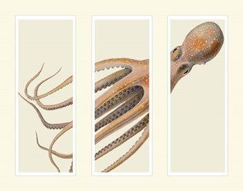 Octopus on 3 panels by Fab Funky art print