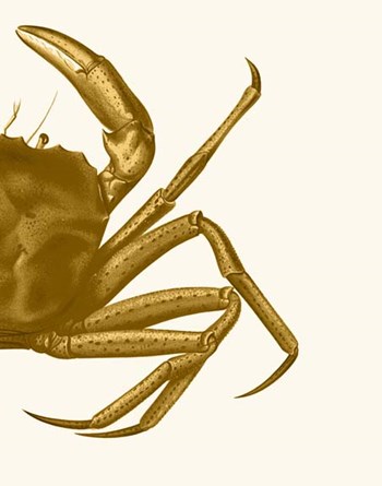 Contrasting Crab in Mustard b by Fab Funky art print