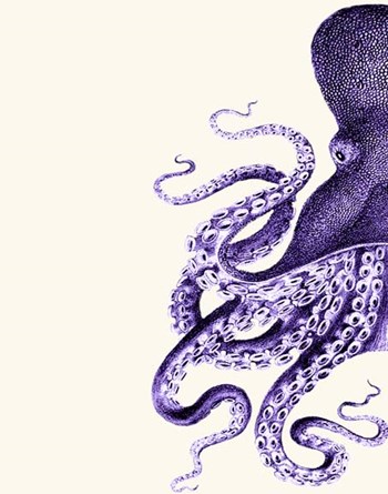 Octopus Purple and Cream a by Fab Funky art print