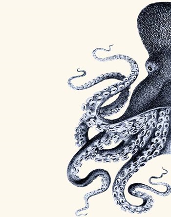 Octopus Indigo Blue and Cream a by Fab Funky art print