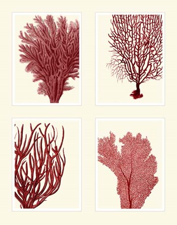 Red Coral Print on 4 Panels by Fab Funky art print