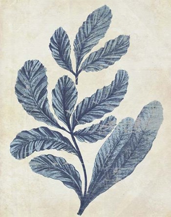 Indigo Blue Seaweed 2 a by Fab Funky art print