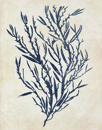 Indigo Blue Seaweed 3 b by Fab Funky art print