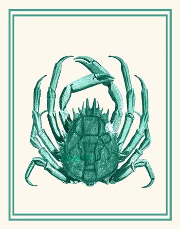 Mixed Nautical Green on Cream b by Fab Funky art print