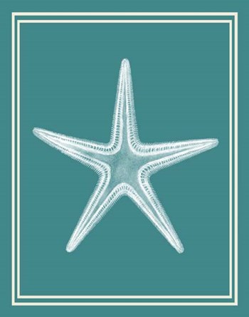 Mixed Nautical White on Teal a by Fab Funky art print