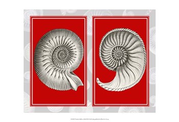 Nautilus Shells On Red by Fab Funky art print