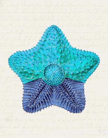 Starfish in Shades of Blue c by Fab Funky art print