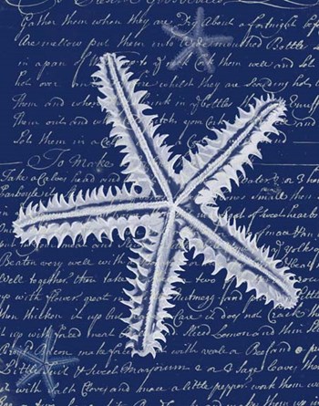 White Starfish on Blue a by Fab Funky art print