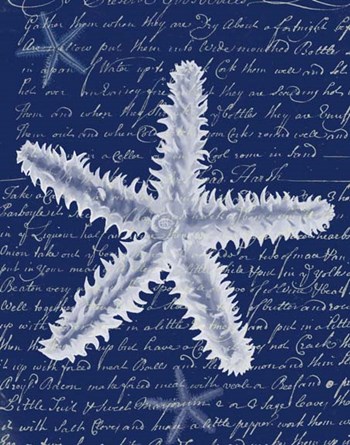 White Starfish on Blue b by Fab Funky art print