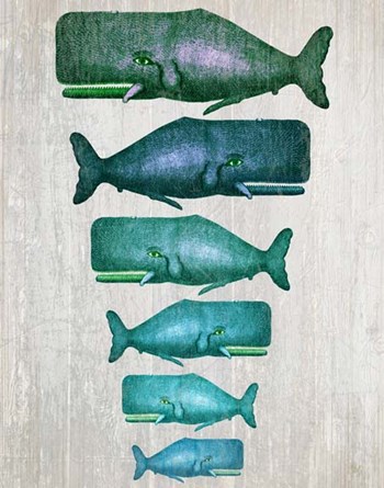 Whale Family Green on White by Fab Funky art print