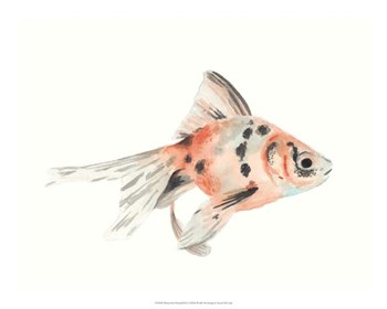 Watercolor Tropical Fish I by Naomi McCavitt art print