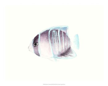 Watercolor Tropical Fish III by Naomi McCavitt art print