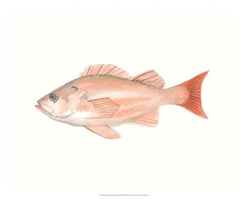 Watercolor Deep Sea Fish I by Naomi McCavitt art print