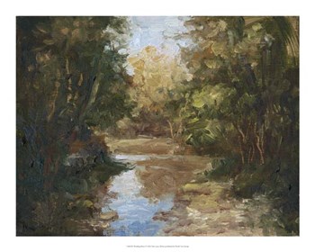 Winding River by Mary Jean Weber art print